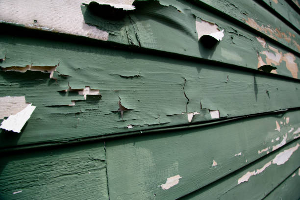 Best Demolition Debris Removal  in China Grove, NC